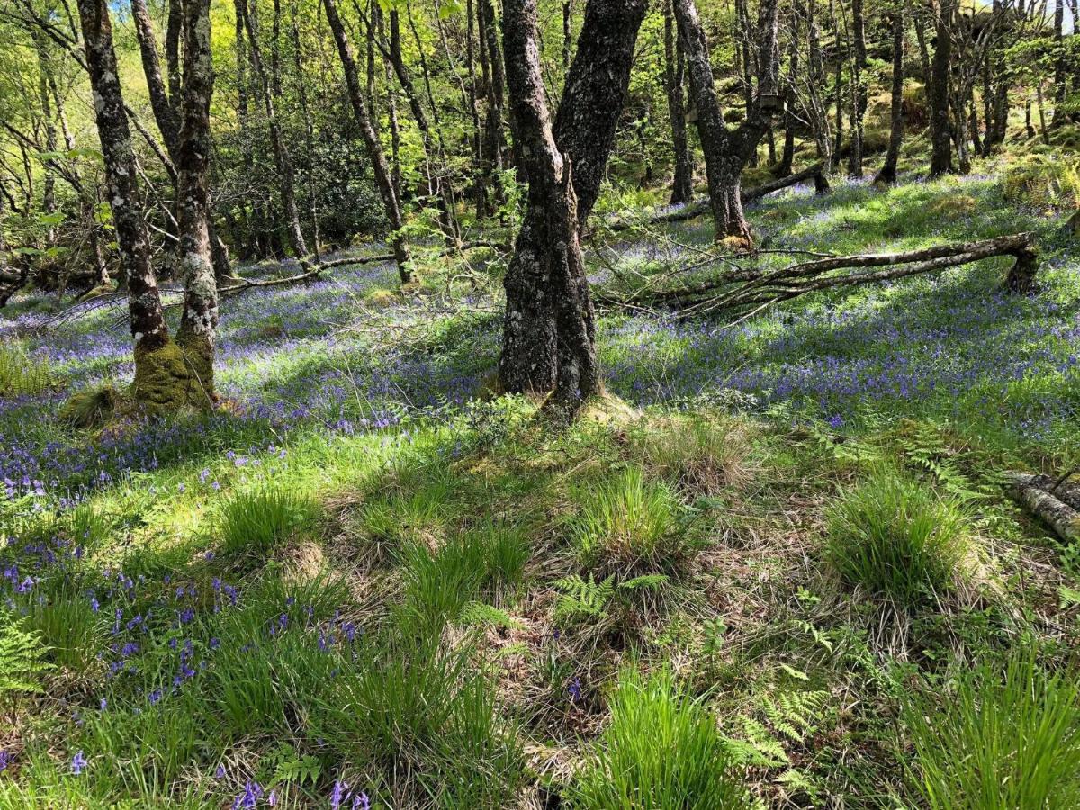 Barfad Self Catering Holiday Cottages Tarbert  Luaran gambar